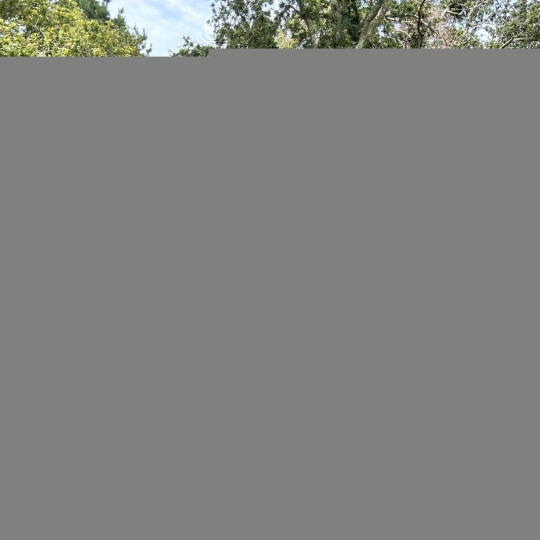  Agence Coté Immo : Maison / Villa | PERROS-GUIREC (22700) | 130 m2 | 525 300 € 