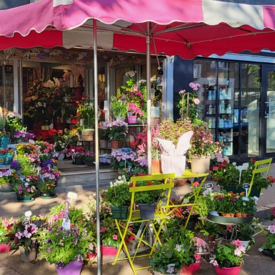  Agence Coté Immo : Local / Bureau | PERROS-GUIREC (22700) | 35 m2 | 71 000 € 