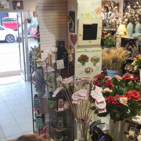  Agence Coté Immo : Local / Bureau | PERROS-GUIREC (22700) | 35 m2 | 71 000 € 