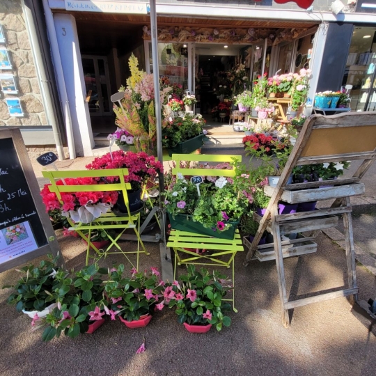  Agence Coté Immo : Local / Bureau | PERROS-GUIREC (22700) | 35 m2 | 71 000 € 