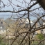  Agence Coté Immo : Terrain | PERROS-GUIREC (22700) | 0 m2 | 363 125 € 