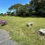  Agence Coté Immo : Maison / Villa | TREGASTEL (22730) | 145 m2 | 332 000 € 