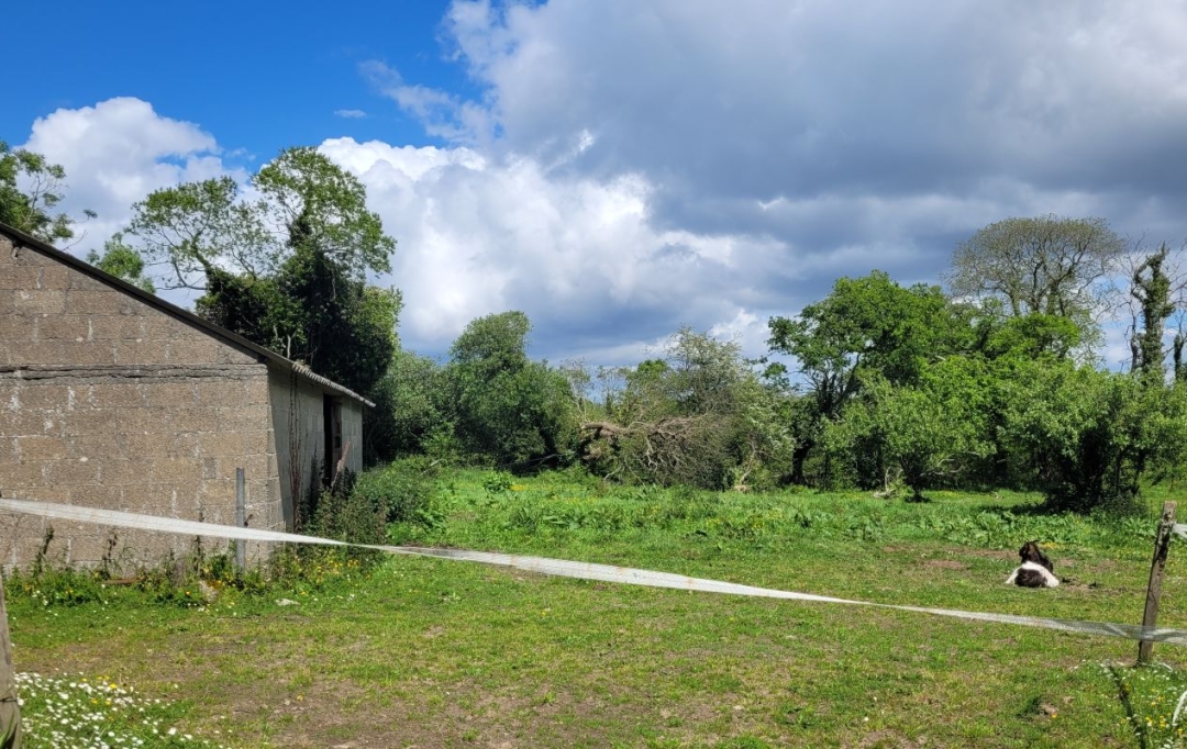 Agence Coté Immo : Maison / Villa | PLEUMEUR-BODOU (22560) | 90 m2 | 311 250 € 