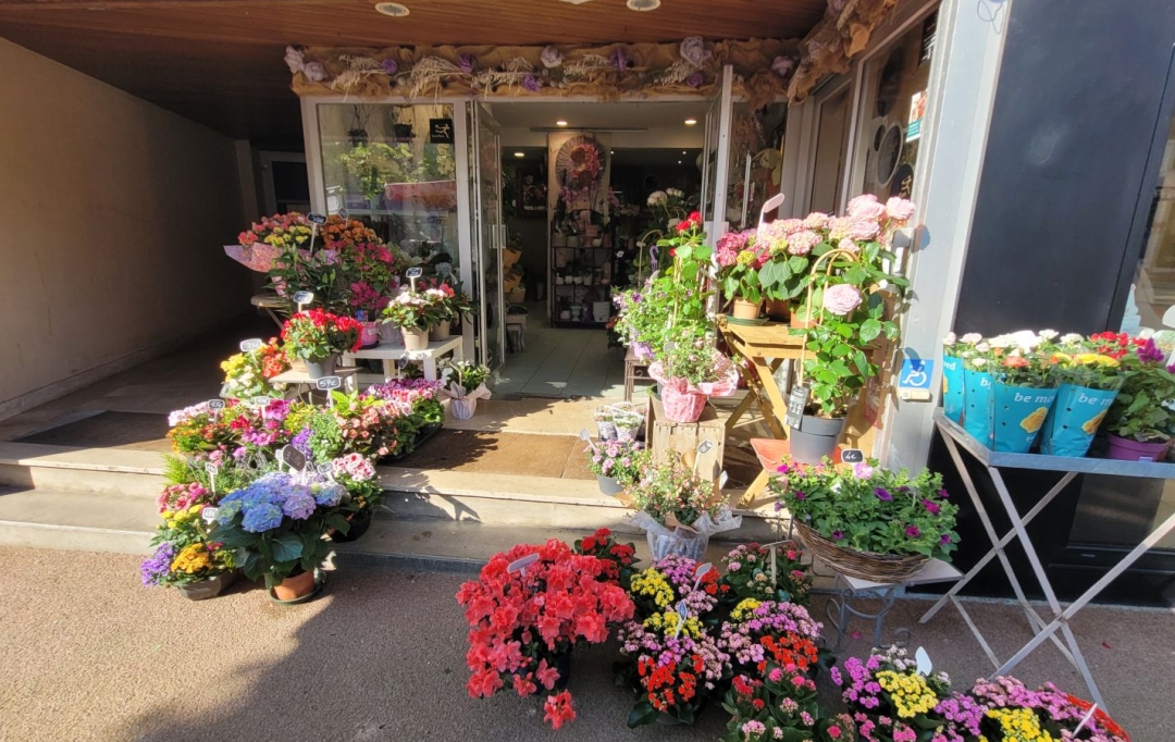 Agence Coté Immo : Local / Bureau | PERROS-GUIREC (22700) | 35 m2 | 71 000 € 